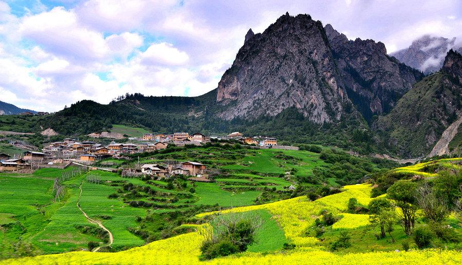 �����հͷ��w�����ʲ�ԭ�������������ľ������������ ��ç��